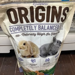 ウサギ関連の画像