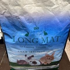 ウサギ関連の画像