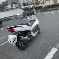 PCX125/EBJ-JF56の画像