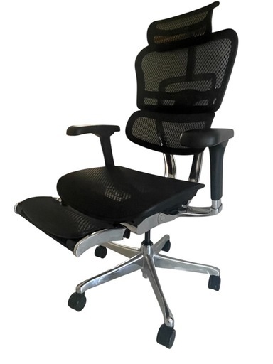 【極美品】Ergohuman PRO2 Ottoman