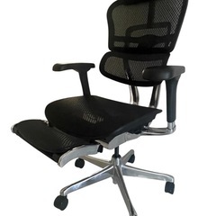 【極美品】Ergohuman PRO2 Ottomanの画像