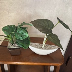 インテリア雑貨の画像