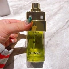 話し中 CHANEL シャネル 香水 №19  ナンバー19 100mlの画像
