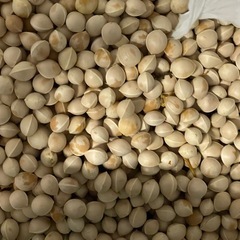 ギンナン
の画像