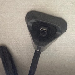 ニンテンドースイッチライトの画像