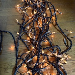 100V、イルミネーション10m100球の画像