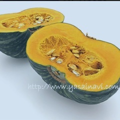 秋の野菜10種セット（5）の画像