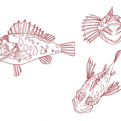 絵画造形教室てらこや　子供の部　募集の画像