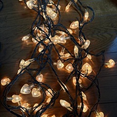 100V、イルミネーション10m 100球No.2の画像