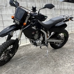 Dトラッカー250の画像