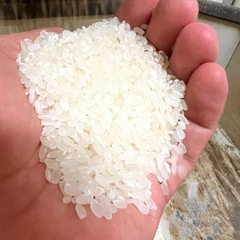 【在庫有り】ハツシモ　玄米　令和7年　新米　30kgの画像