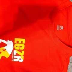 エゴザル ドライTシャツ Mサイズ スポーツの画像