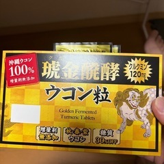 ウコン粒　200mg✖️5粒　70包の画像