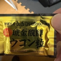 ウコン粒　200mg✖️5粒　70包の画像