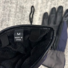 グローブの画像