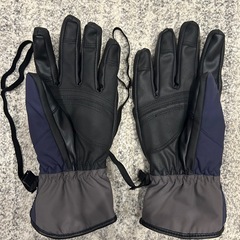 グローブの画像