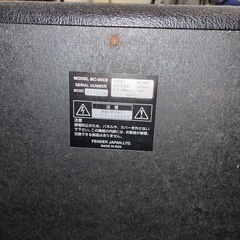 Epiphone Thunderbird  Fenderの アンプセット エレキベース  の画像