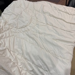 ニトリ　掛け布団の画像