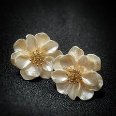 【受け渡し者決定】アイシャドウ、ピアスセットの画像