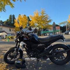 ホンダ CBF190TR ブラック　早い者勝ち！の画像