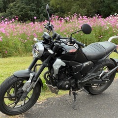 ホンダ CBF190TR ブラック　早い者勝ち！の画像