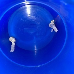 パカポコの画像