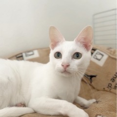 美白✨️美男子✨️王子様✨️