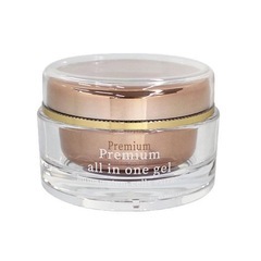 定価13200円プレミアムオールインワンゲル　100g 未開封の画像