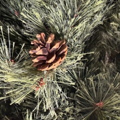 210cmのニトリのクリスマスツリーの画像