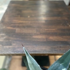 ビンテージガーデン&カフェテーブルの画像