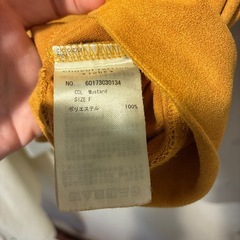 「12月9日処分予定」レディース　トップスの画像