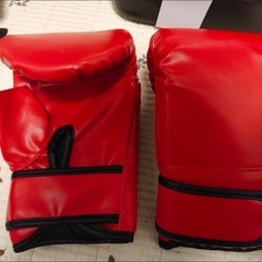  壁掛けボクシングバッグ  高さ調節可能 トレーニングパッドの画像