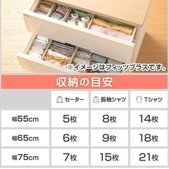 天馬 フィッツプラスイージー 5段 衣類収納 2個の画像