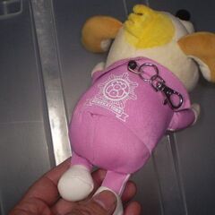 ジェネ高　パスケース　小森隼の画像