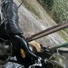 エイプ50の画像