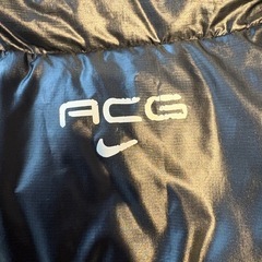 【予定者あり】ナイキダウンベストの画像