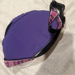 チチカカ　バッグの画像