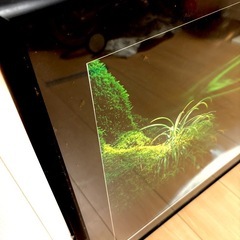 風景写真（額縁つき）の画像