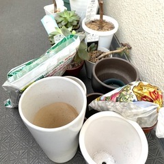 観葉植物、植木鉢、土などをまとめて。の画像