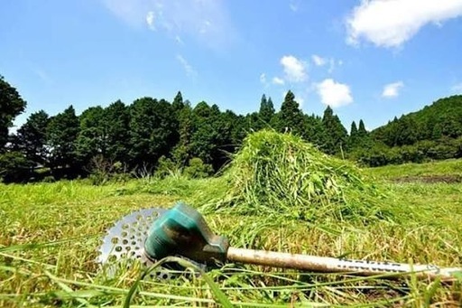 草刈り.不用品回収.できる範囲内なら何でもします！