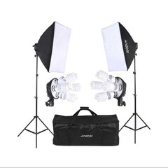 定常光ライトセット 証明14点キット ソフトボックス 電球ソケット 45W電球 ライトスタンド キャリングバッグ付きの画像