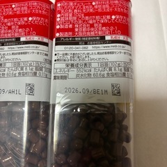 チョコベビー①の画像