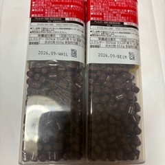 チョコベビー①の画像