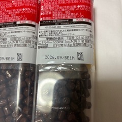 チョコベビー②の画像