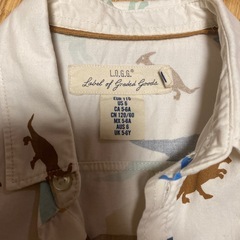 恐竜シャツの画像