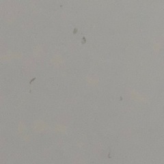 こたつ 白の画像