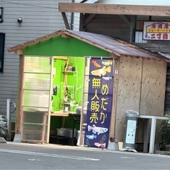 爆盛タマミジンコの画像