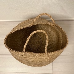 IKEA フローディスの画像