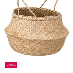 IKEA フローディスの画像