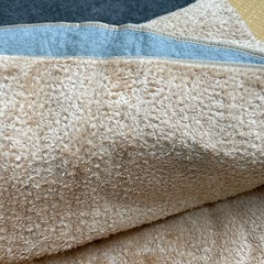 ニトリ　Nウォーム　カーペット　ラグの画像